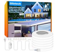 Striscia LED COB Esterno Impermeabile IP67 Spina Diretta, 6500K Striscia Led 220V Luminosità per Esterni con Doppio Controller Fusibile, 30M LED COB Bianca per Commerciali da Giardino e Patio