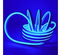 Striscia LED Neon 2835 Tubo LED Flessibile Impermeabile Luminosa 220V IP65 120 LED/M Corda Stringa Lampada con Alimentatore di rete e Dimmerazione manuale Controller,per Camera da Letto (1m, Blu)