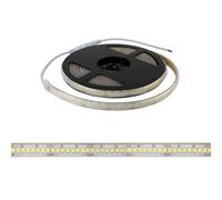 Striscia LED Professional 2835/224 - IP67 - 25W/m - 2.900lm/m- 5m - 24V Colore Bianco Freddo 6.000K