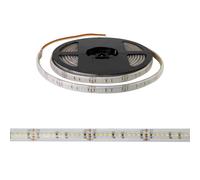 Striscia LED Professional CCT (Bianco Variabile) 2216/240 - IP67 - 18W/m - 5m - 24V Colore Bianco Variabile CCT