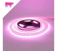 Striscia LED Professional per Banco Carni