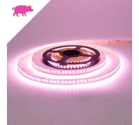 Striscia LED Professional per Banco Carni