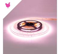 Striscia LED Professional per Banco Carni