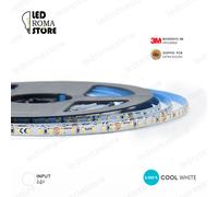 STRISCIA LED STRIP 2216 980 LED SLIM 6MM 5M IP20 24V COOL FREDDA 6000K 3M CRI90