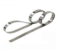 RAMBEX Striscia Sottile in Acciaio Inossidabile 304, Larghezza 20 Mm, Spessore 0,1 Mm-1 Mm, Striscia di Lamina di Acciaio, Piastra di Lamiera, Striscia Stretta, 1 Pz(Thickness 0.1mm)