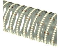 Striscia Strip Led Nobile 55W 3000K 24V IP20 5 metri 70092/C