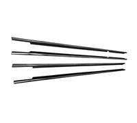 Striscia Tenuta Finestrini Compatibile Con Lexus Per LX470 1998 1999 2000 2001 2002 2003 2004 2005 2006 2007 Guarnizioni Per Finestrini Auto(Chrome)