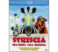 Striscia, una zebra alla riscossa