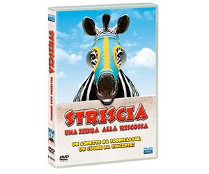 Striscia-Una Zebra Alla Riscossa