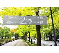 Striscione argentato 25 anni - 180 x 40 cm