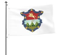 Striscione Bandera De La Ciudad De Guatemala Robuste Bandiera Pace Appendere Decorazioni Da Giardino Per Parete Estate Casa 3X5 Ft