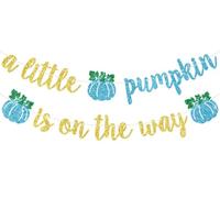Striscione con scritta in inglese "A Little Pumpkin is On The Way