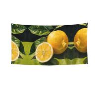 Striscione con stampa di limoni su un lato per decorazioni festive, compleanni, anniversari, matrimoni, festività