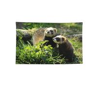 Striscione decorato con furetti selvatici 2 × 3ft/3 × 5ft/4 × 1,8 m, quattro fori, bandierine divertenti per interni ed esterni, decorazione regalo