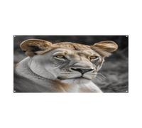 Striscione per eventi, leonessa con occhi verdi blu stampa durevole banner festival riutilizzabile decorazione per feste perfetto per feste, riunioni aziendali e celebrazioni