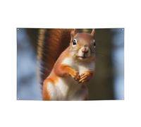 Striscione personalizzato per feste di compleanno con occhielli in ottone scoiattolo divertente animale bandiera giardino decorazioni per cortile banner decorazioni per feste di compleanno sfondo per