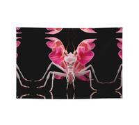 Striscioni per feste con mantide religiosa di orchidee: crea splendidi punti salienti decorativi per compleanni, vacanze e spazi domestici