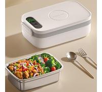 Strixorn Scaldavivande Elettrico Portatile, 1L 60W Portavivande Termico per Adulti, Uomini e Donne, 220V/12V/24V Lunch Box Acciaio Inox con Forchetta Cucchiaio per Auto Camion Ufficio, Scuola