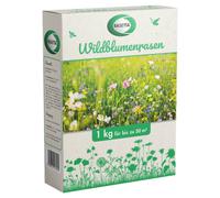 Stroetmann Rasetta Wildblumen 1 kg Rasensamen Wildblumenmischung Bienenmischung