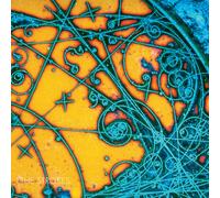 The Strokes Is This It (Vinyl LP)