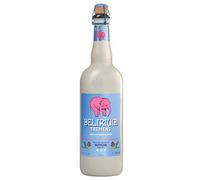 STRONG BLOND BEER DELIRIUM TREMENS - Birrificio Huyghe - 12 BOTT. DA 0,750 L.