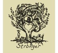 Stronger by Sofer, Oren Jay (2011-08-30)