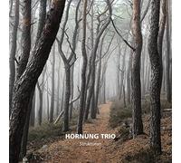 Hornung Trio Strukturen (CD)