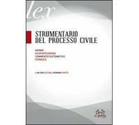 Strumentario del processo civile. Norme, giurisprudenza, commento sistematico, formule