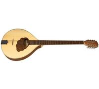 Strumenti A Corda - Vari - Bouzouki Irlandese Pro Natura Silver