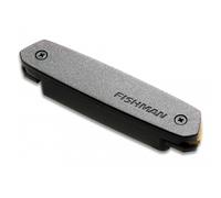 Fishman Neo-D SingleCoil