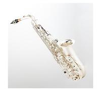 Strumenti A Fiato Per Sassofono Piatto In Mi Piatto Argentato Con Custodia, Bocchino E Altri Accessori Sassofono per principianti Kit