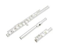Strumenti A Fiato Professionali In Cupronichel Argento 16 Fori Per Flauto C Con Accessori