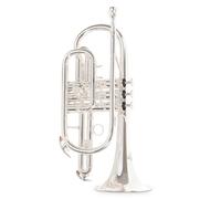 Strumenti A Fiato - Vari - Cornetta In Sib Roy Benson Cr-202s - Cr-202s