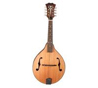 Strumenti A Mandolino Performance Musicale Di Mandolino Livello Professionale Fatta A Mano Per Principianti E Adulti
