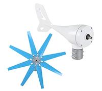 Strumenti compatibili con Generatore eolico da 300 W con 8 pale, avviamento a bassa velocità del vento con regolatore, generatori di corrente industriali (DC12V)(DC24V)