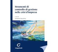 Strumenti di controllo di gestione nelle crisi d'impresa