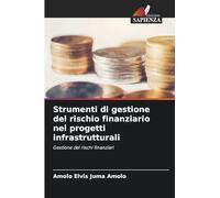 Strumenti di gestione del rischio finanziario nei progetti infrastrutturali: Gestione dei rischi finanziari