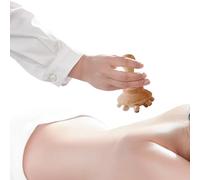 Strumenti di massaggio manuale: massaggiatore in legno e set di coppe anti-cellulite | Strumento di massaggio della forma del corpo per collo, schiena, spalle, vita | Relax