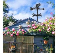 Strumenti di misurazione per montaggio su tetto con banderuola in ferro