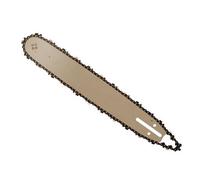 Strumenti Laser Survivor Socket Con Estremità Quick Chuck 6277