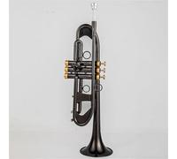 Strumenti Musicali Professionali Con Chiave In Oro Nichel Tromba Piccola In Sib Con Custodia