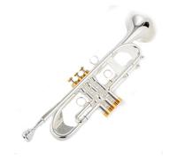 Strumenti Musicali Professionali Tromba Piccola In Sib Argento Chiave Dorata Con Custodia