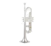 Strumenti Musicali Professionali Tromba Piccola In Sib Argento Chiave Dorata Con Custodia