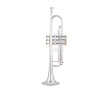 Strumenti Musicali Professionali Tromba Piccola In Sib Argento Chiave Dorata Con Custodia