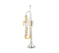 Strumenti Musicali Professionali Tromba Piccola In Sib Argento Chiave Dorata Con Custodia
