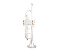 Strumenti Musicali Professionali Tromba Piccola In Sib Argento Chiave Dorata Con Custodia