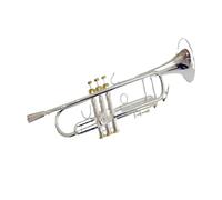 Strumenti Musicali Professionali Tromba Piccola In Sib Argento Chiave Dorata Con Custodia (Color : Gold)