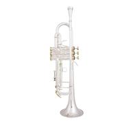 Strumenti Musicali Professionali Tromba Piccola In Sib Argento Chiave Dorata Con Custodia (Color : Silver)