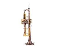 Strumenti Musicali Professionali Tromba Piccola In Sib Chiave Dorata Con Custodia