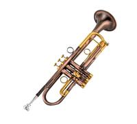 Strumenti Musicali Professionali Tromba Piccola In Sib Chiave Dorata Con Custodia